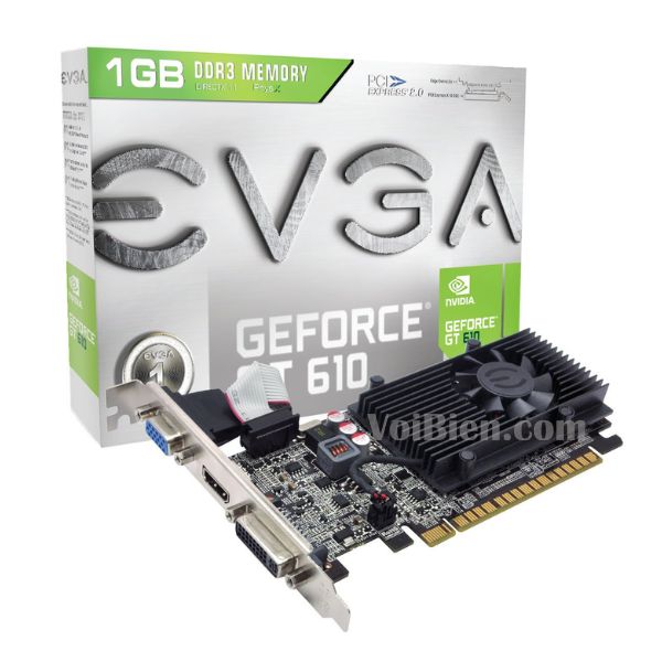 Card Màn Hình EVGA GeForce GT610 1GB Cao Cấp